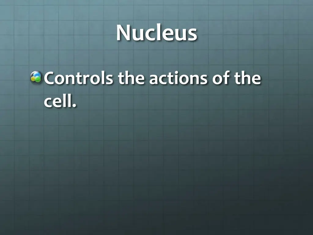 nucleus