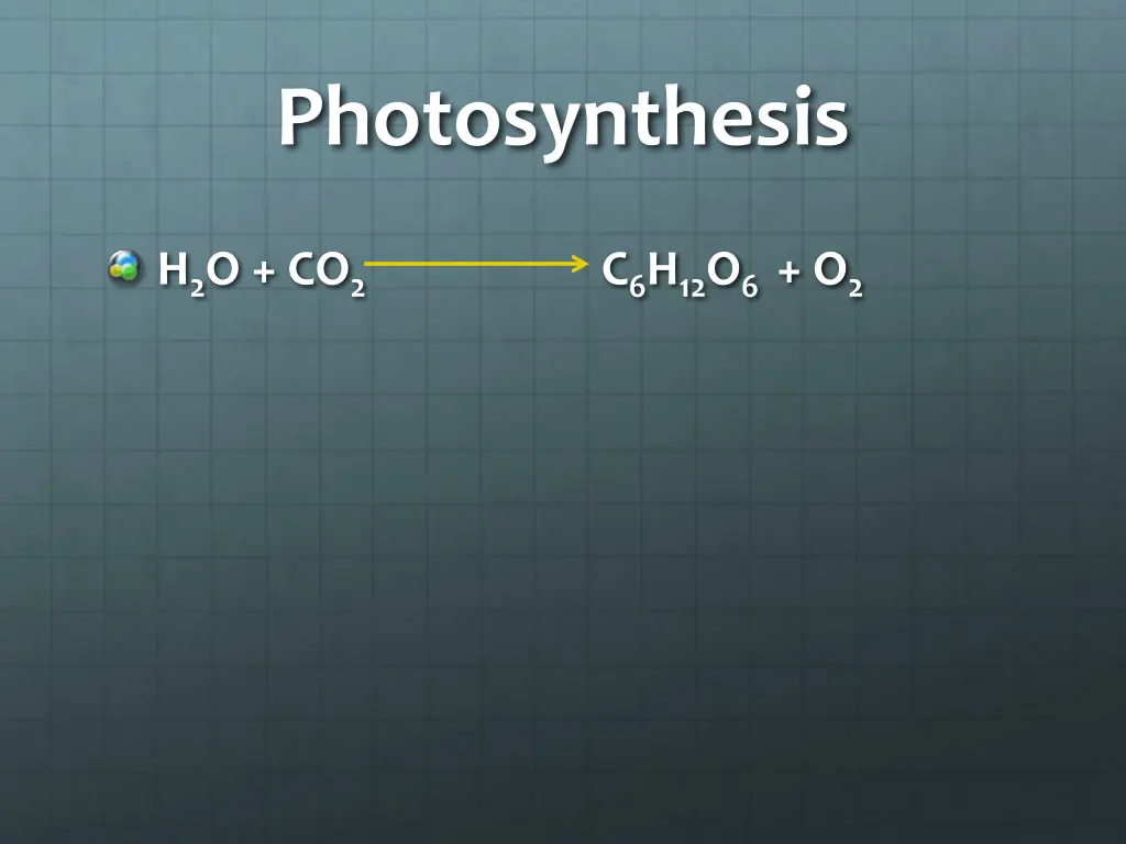 photosynthesis 1