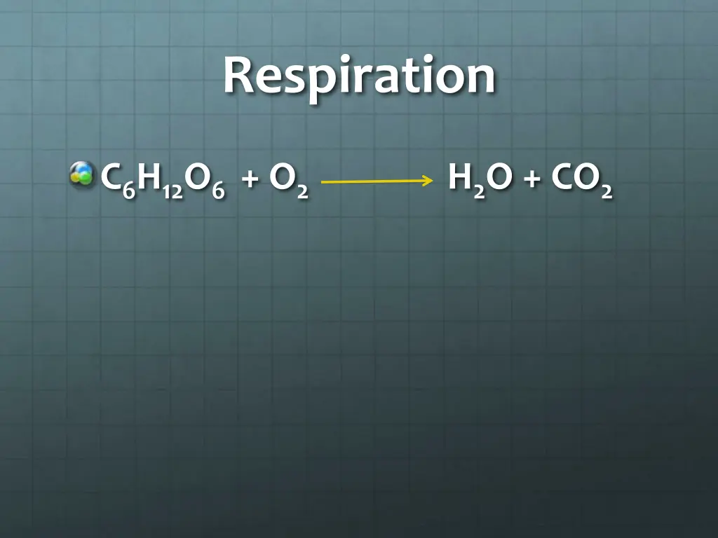 respiration 1