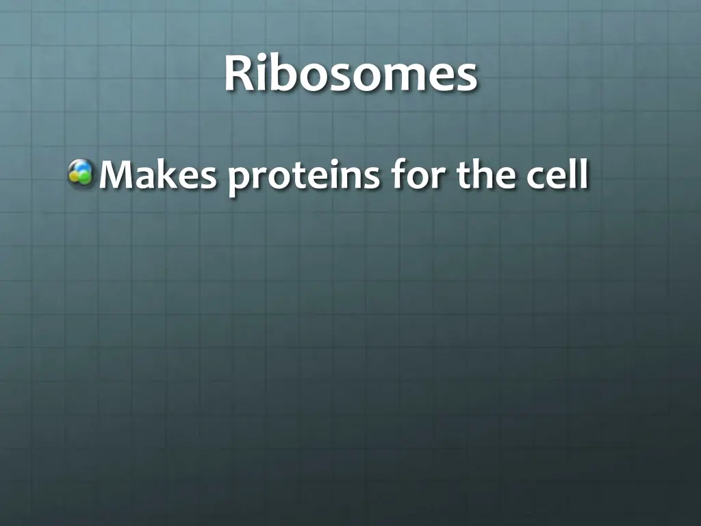 ribosomes