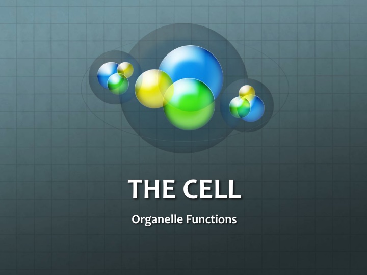 the cell