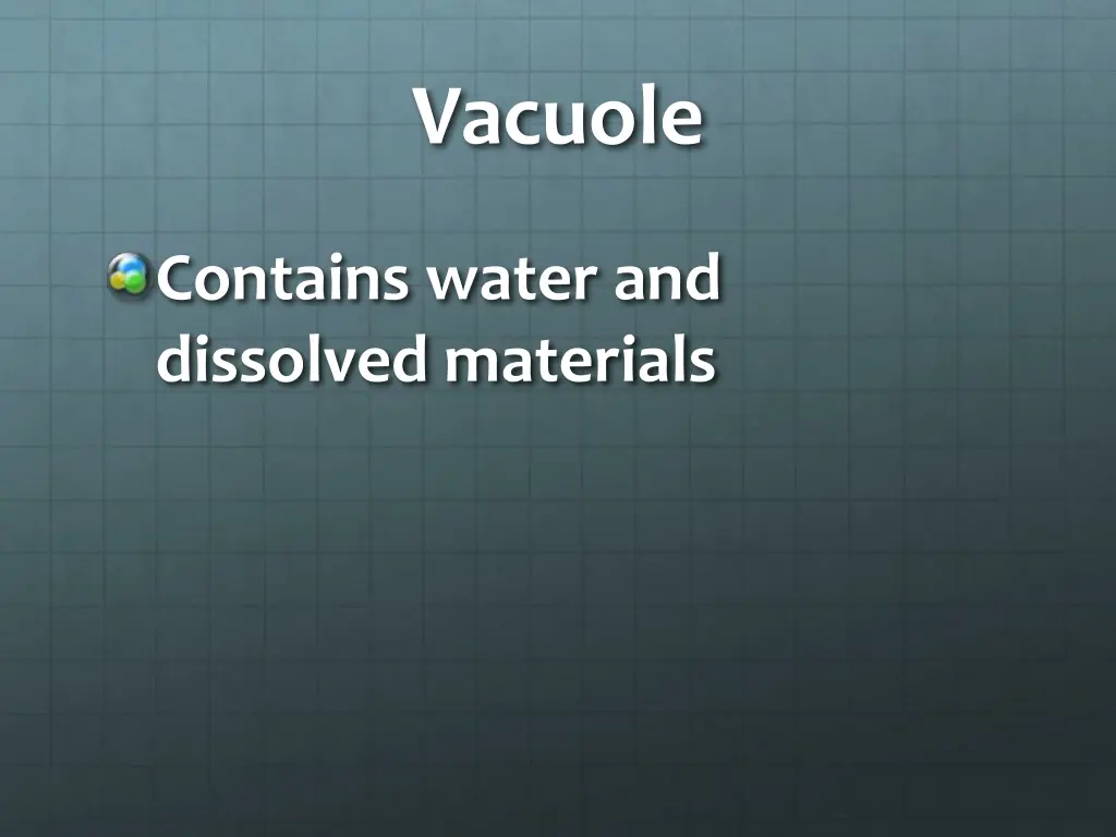 vacuole