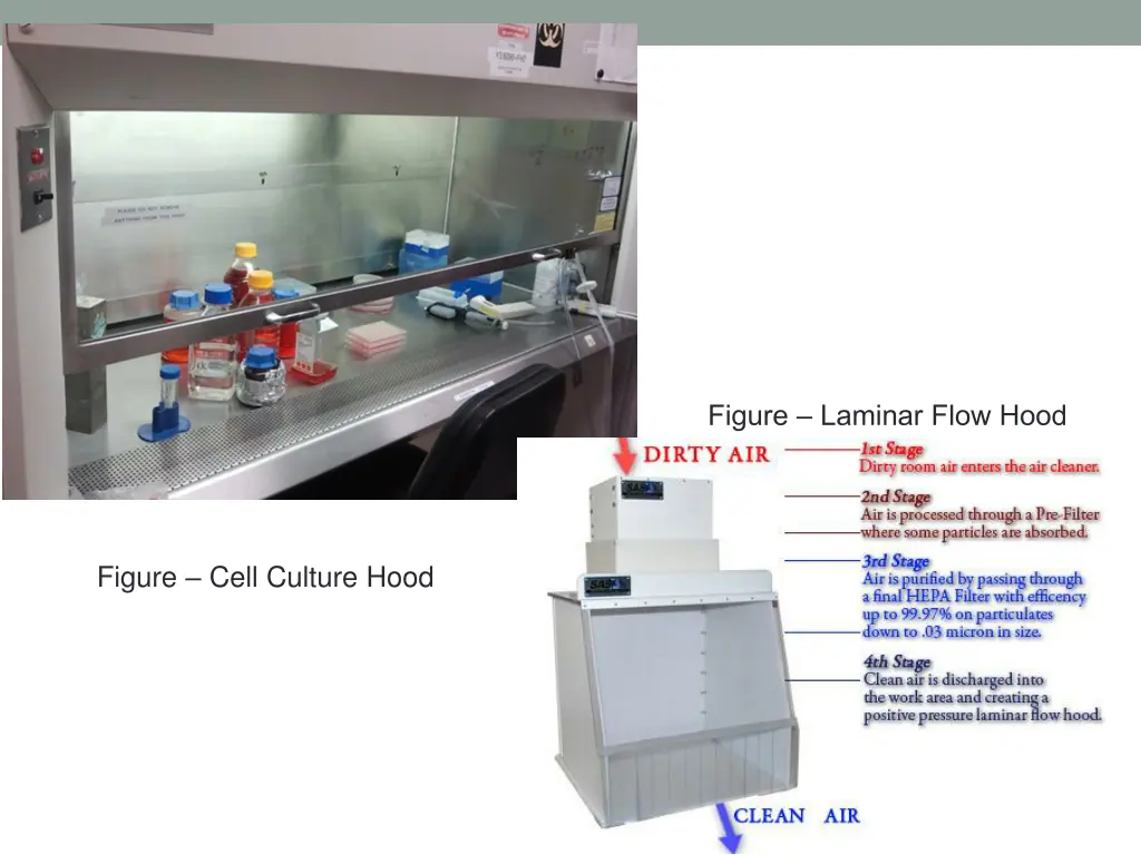 figure laminar flow hood