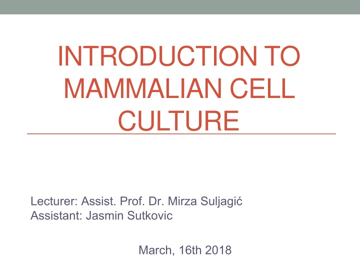 introduction to mammalian cell culture