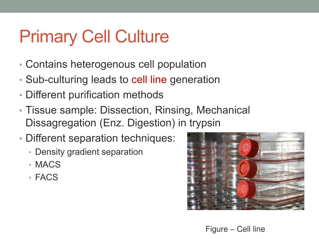 primary cell culture