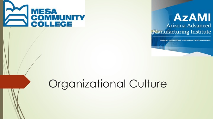 organizational culture