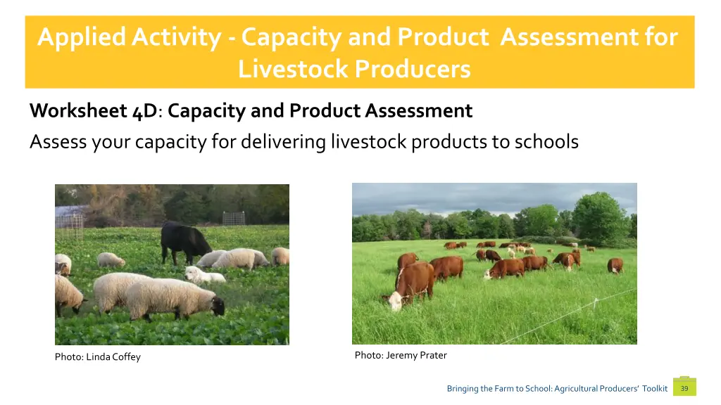 applied activity capacity andproduct