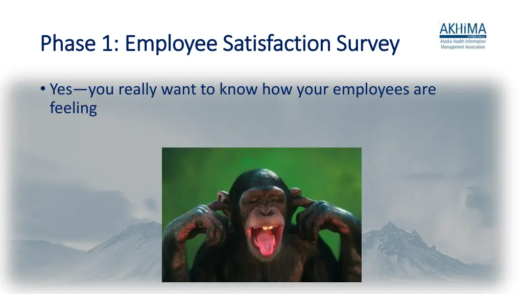 phase 1 employee satisfaction survey phase