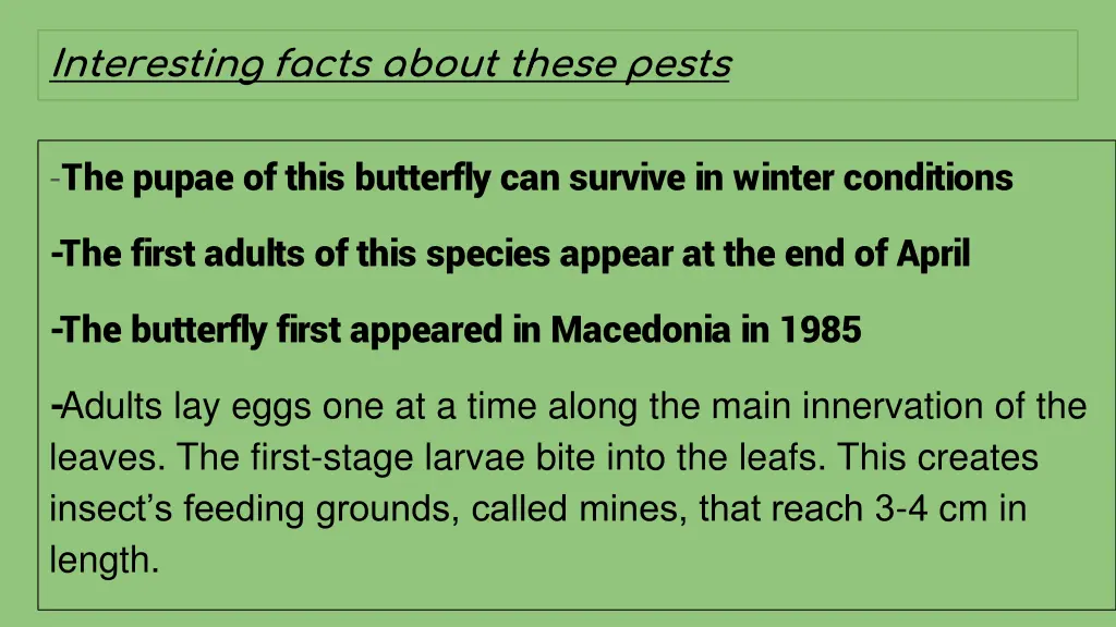 interesting facts about these pests