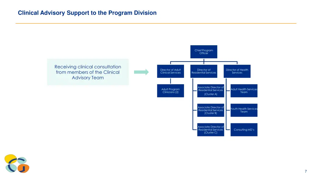 clinical advisory support to the program division