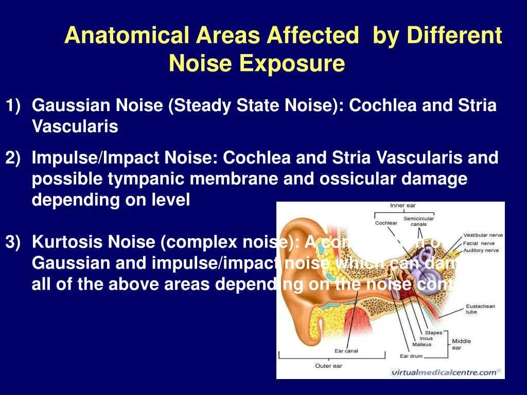 anatomical areas affected by different noise