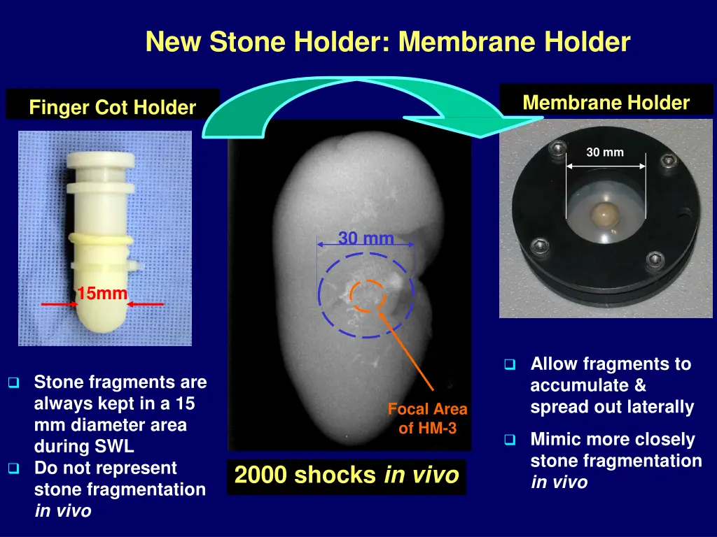 new stone holder membrane holder