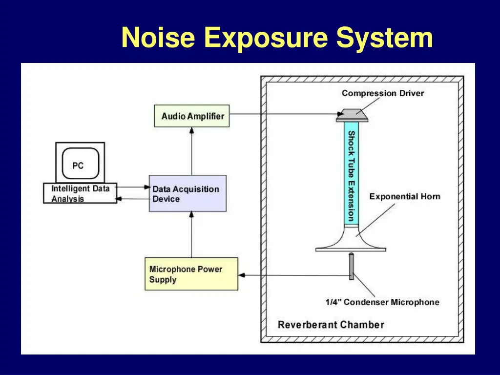 noise exposure system