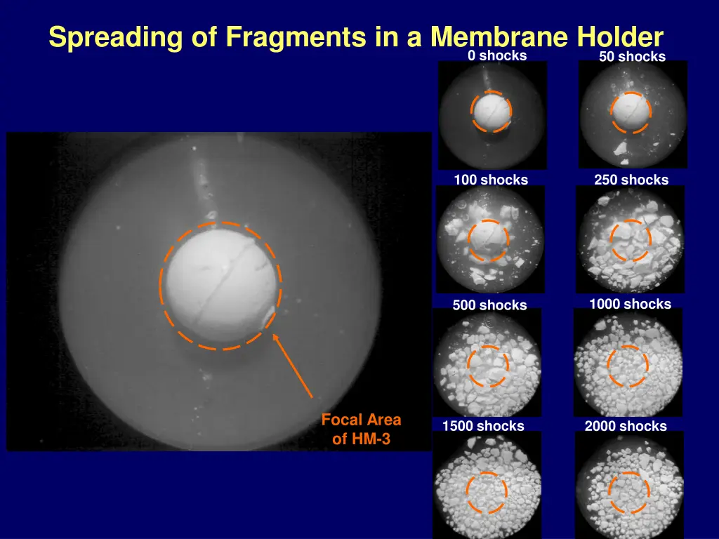 spreading of fragments in a membrane holder