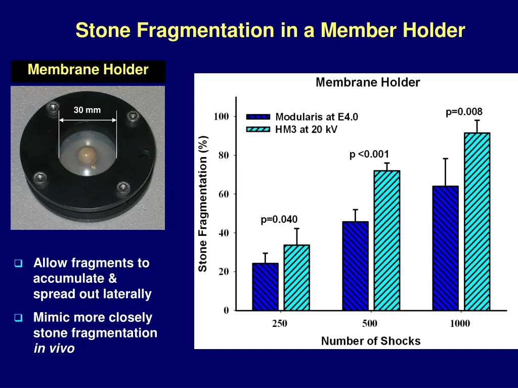 stone fragmentation in a member holder