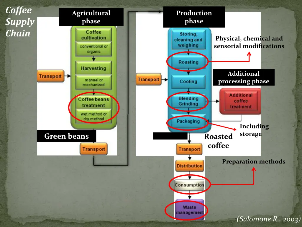 coffee supply chain