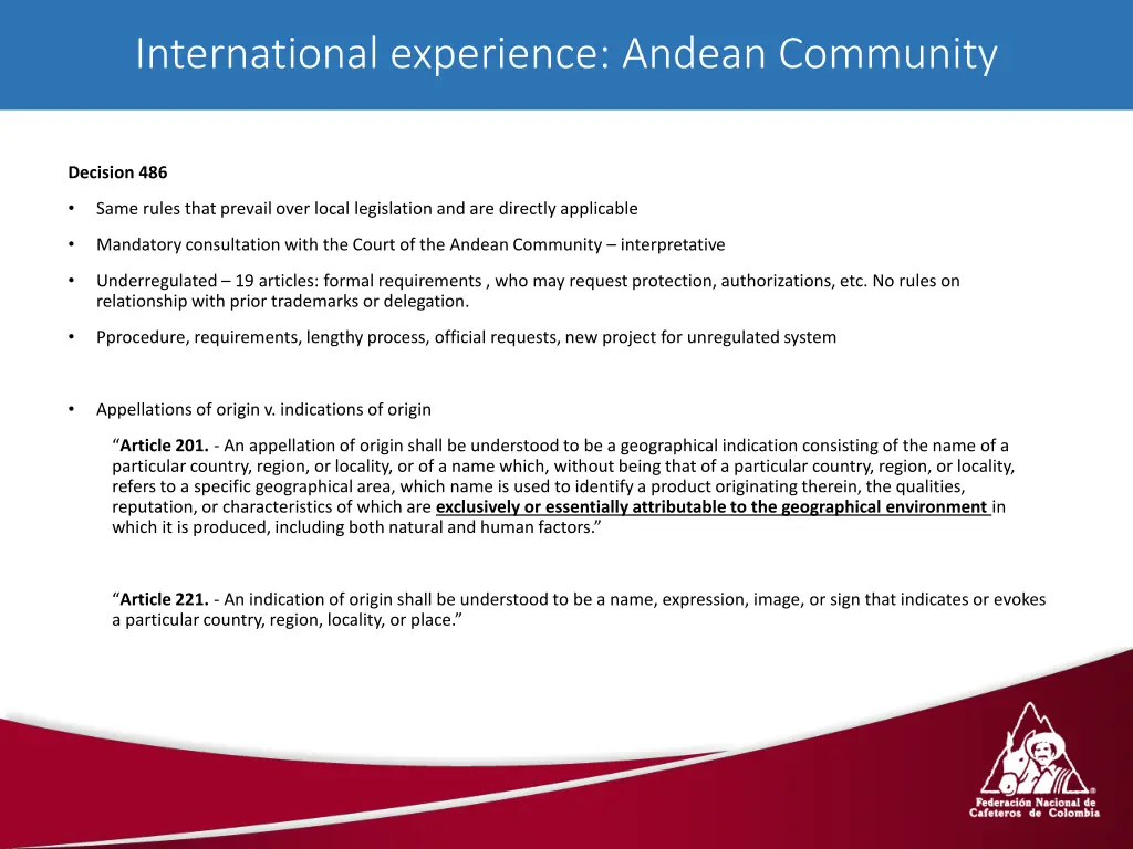 international experience andean community