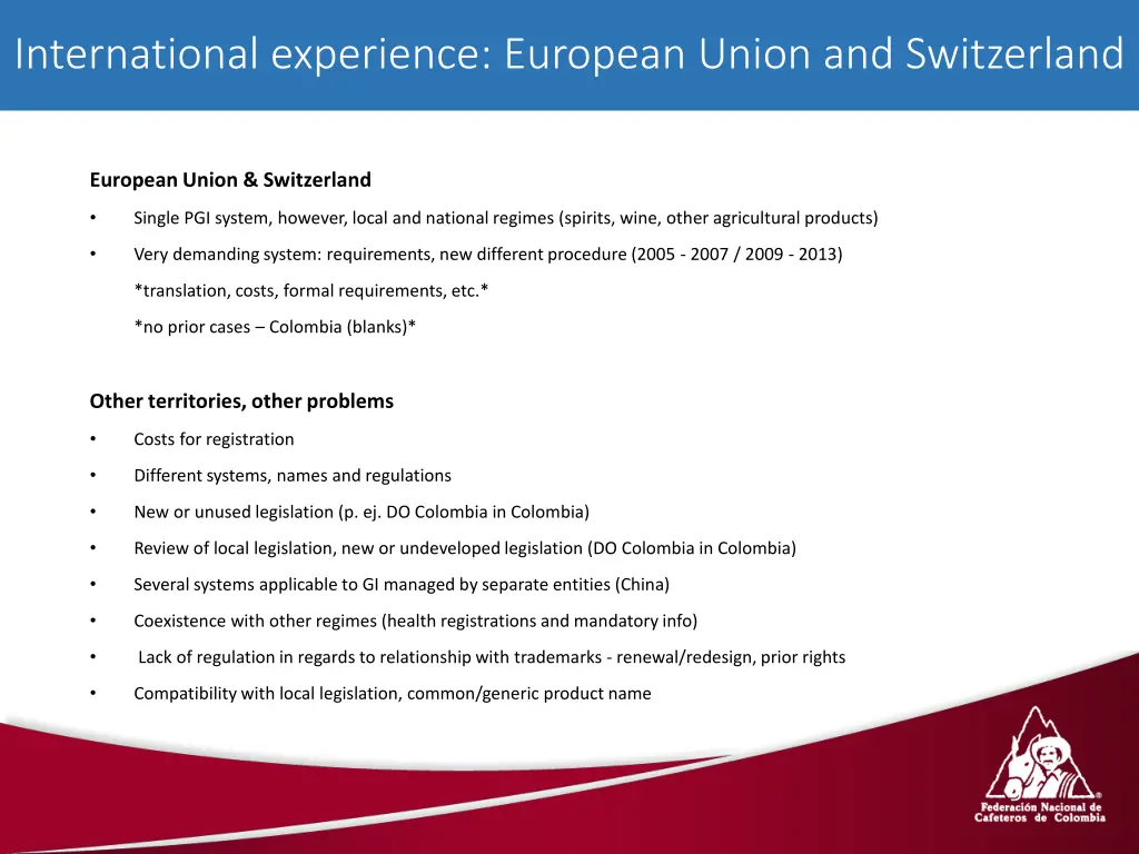 international experience european union