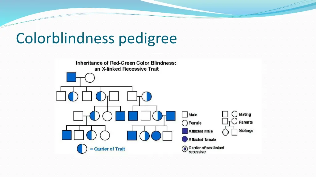 colorblindness pedigree