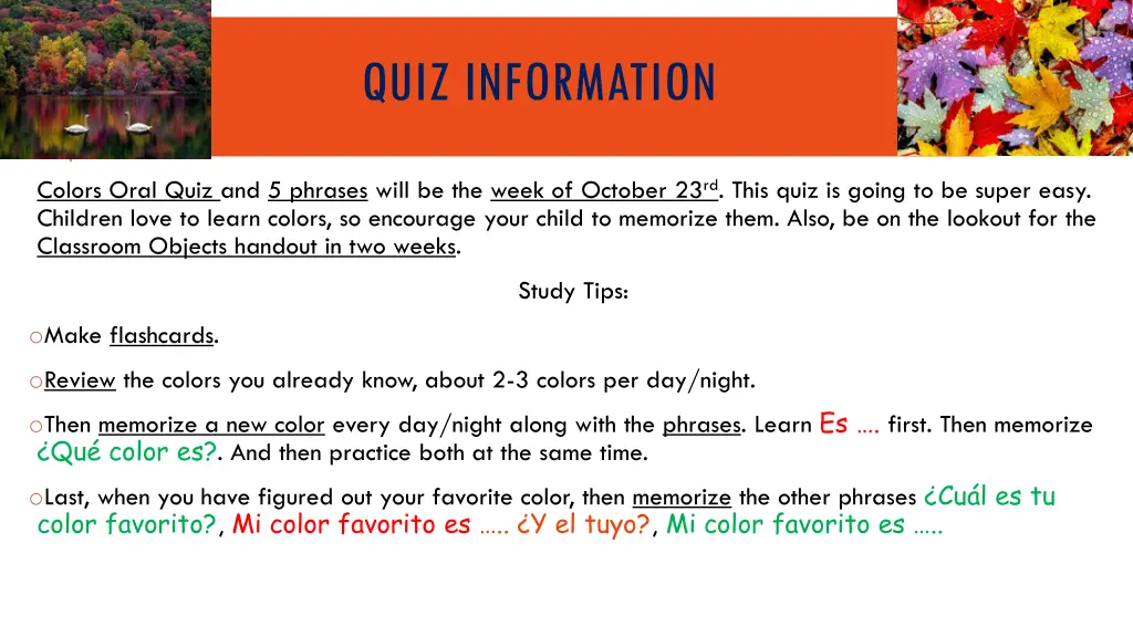 quiz information