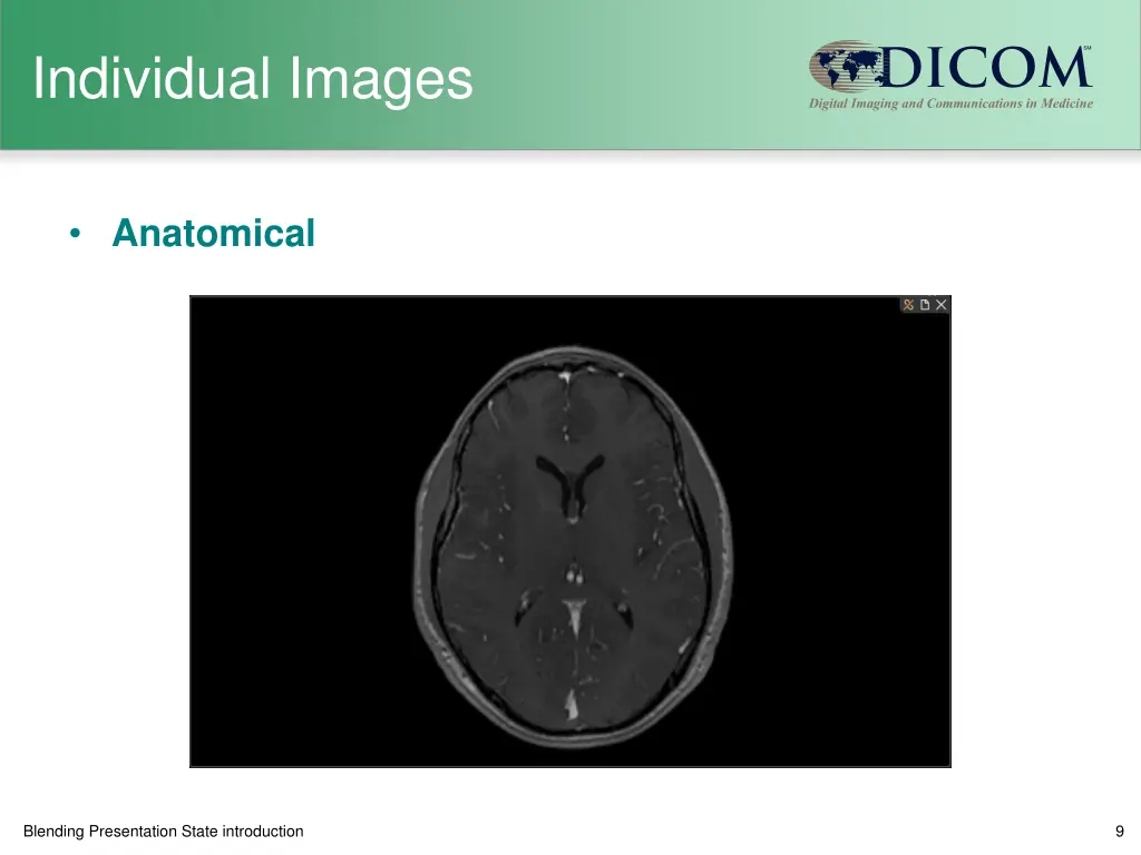 individual images