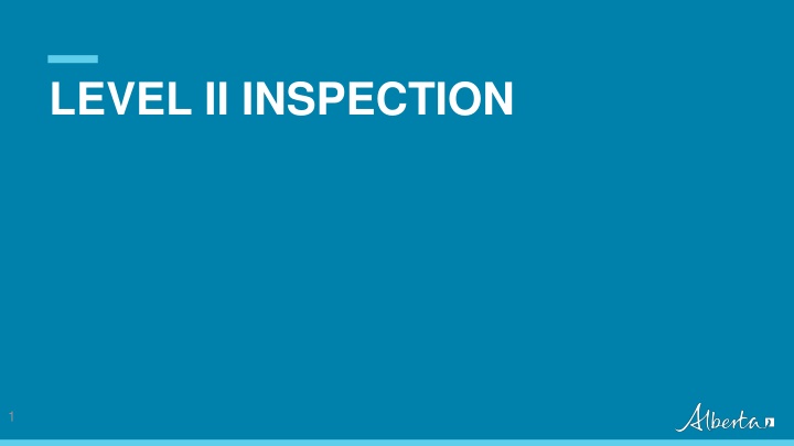 level ii inspection