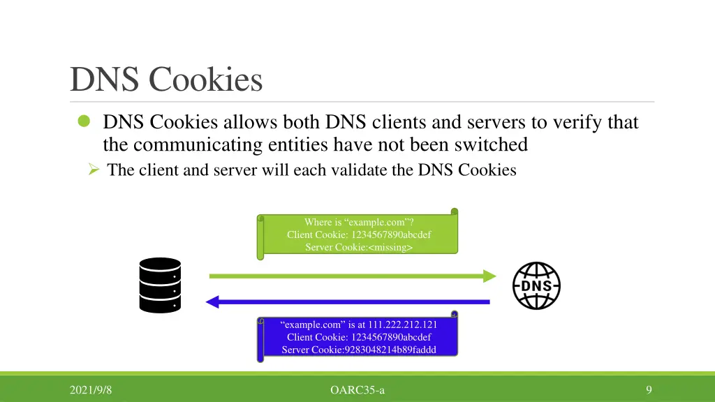 dns cookies