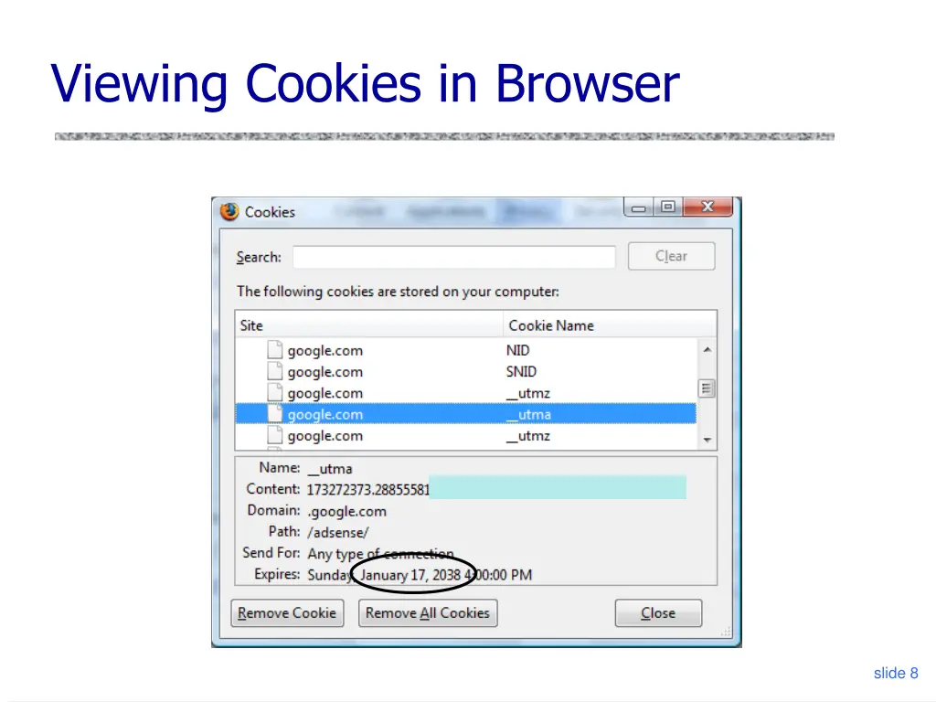 viewing cookies in browser