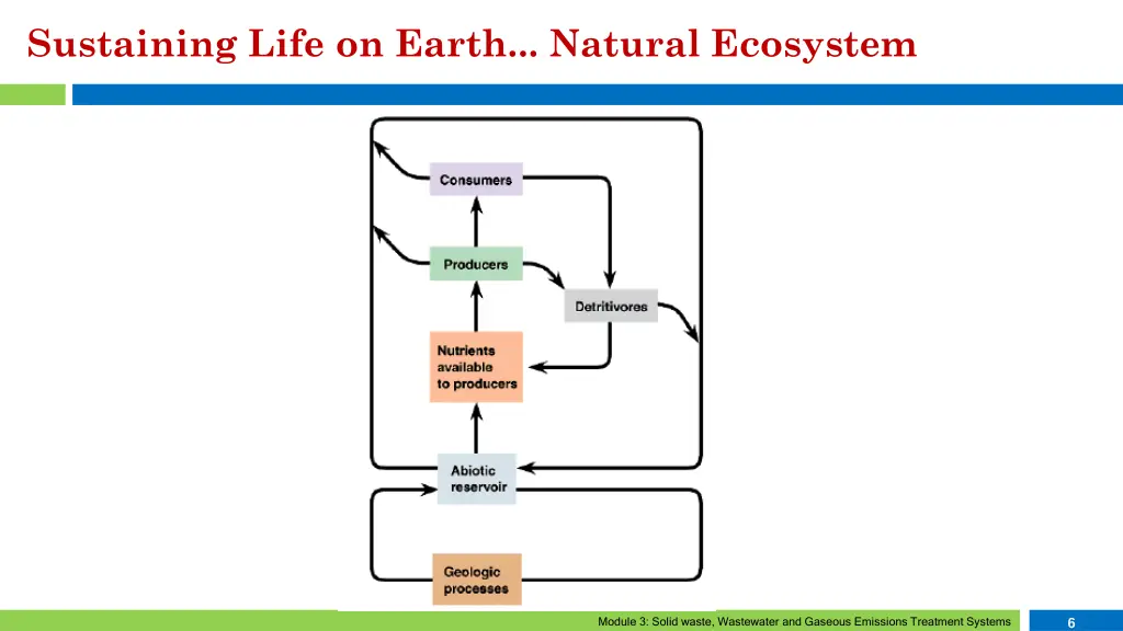 sustaining life on earth natural ecosystem