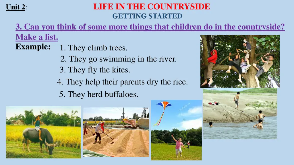 unit 2 life in the countryside 6