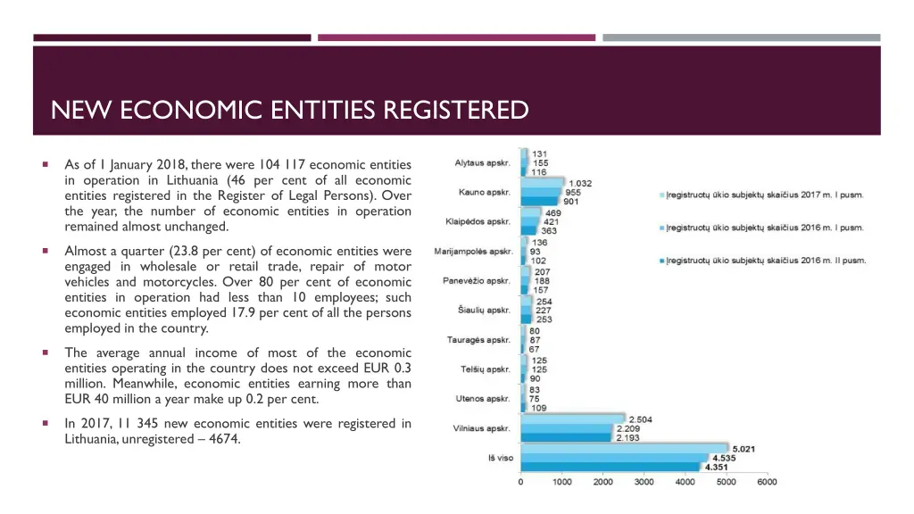 new economic entities registered