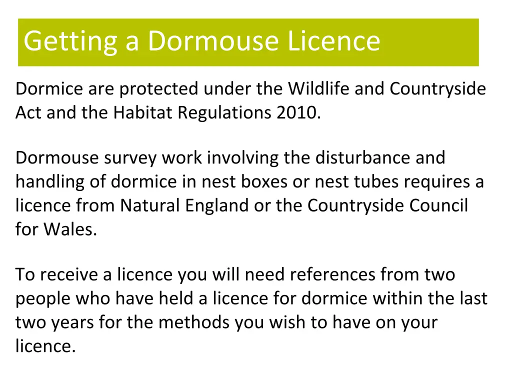 getting a dormouse licence