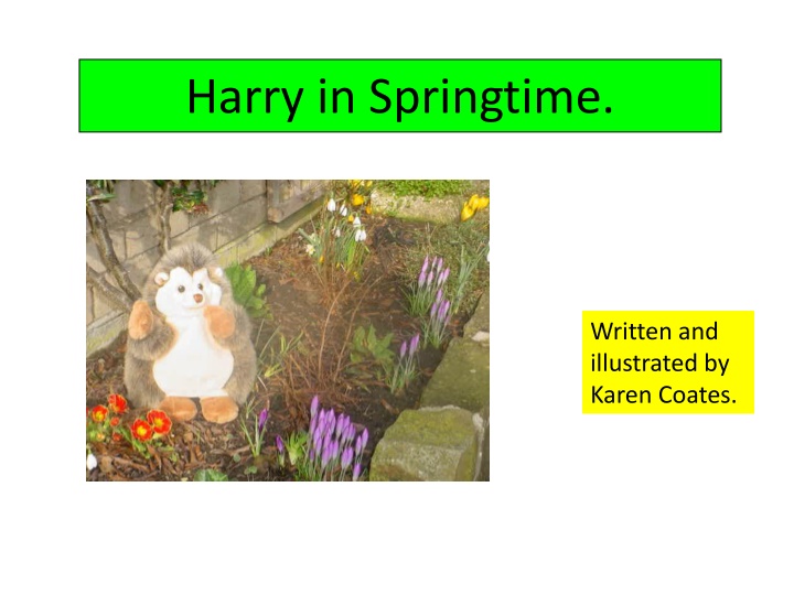 harry in springtime