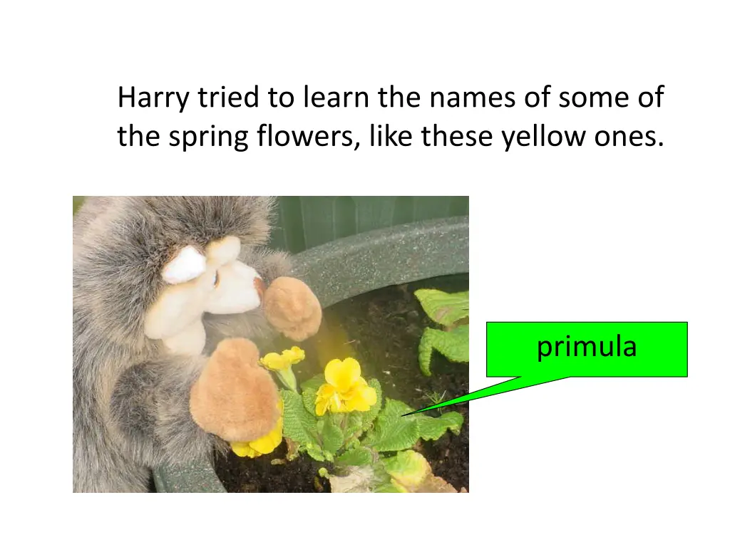 harry tried to learn the names of some