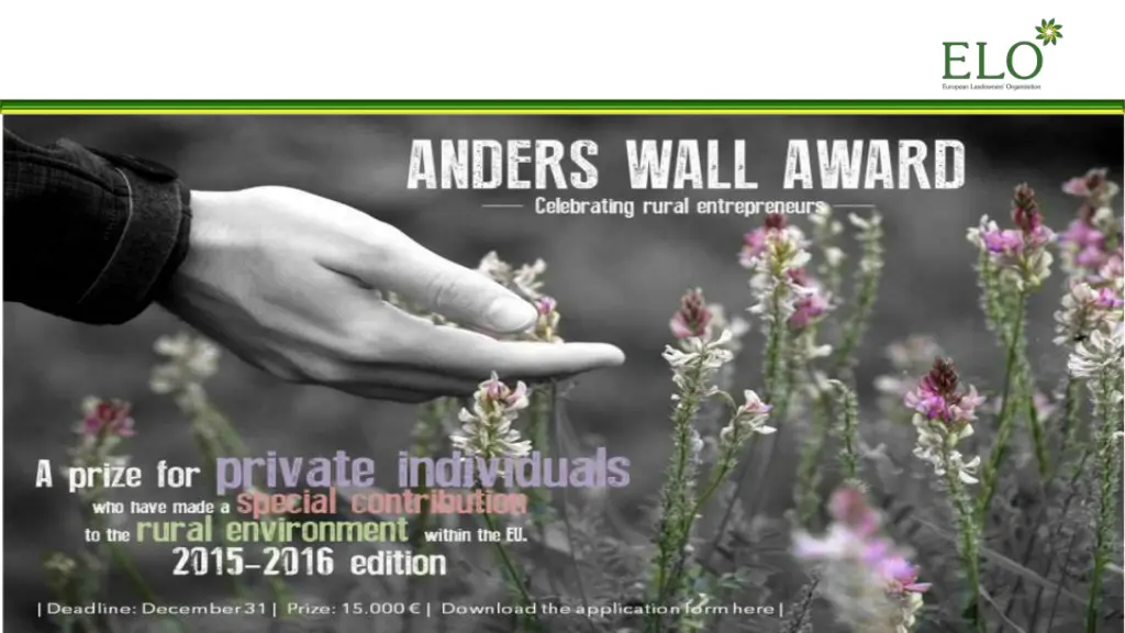 anders wall award