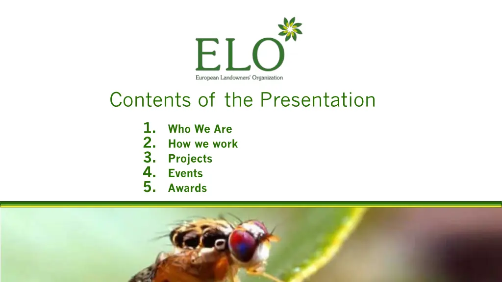 contents of the presentation