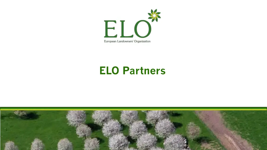 elo partners