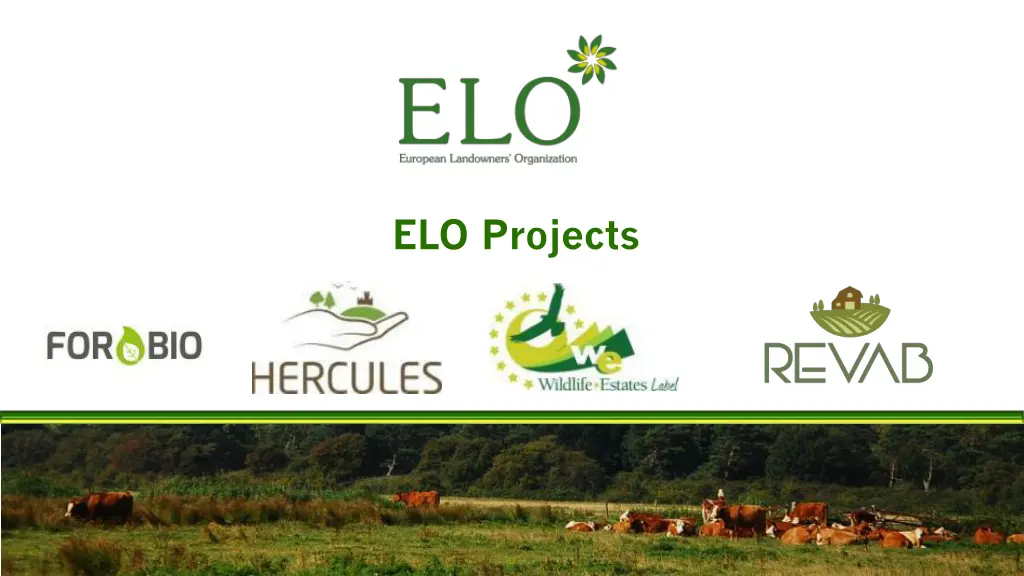 elo projects