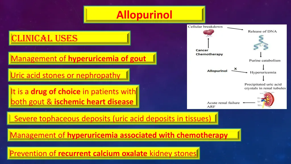 allopurinol