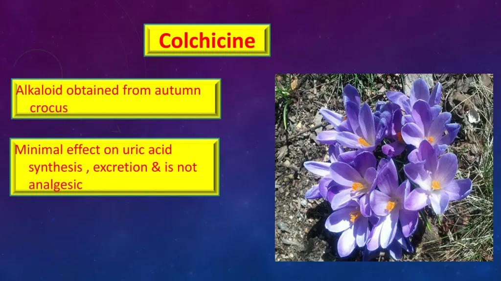 colchicine