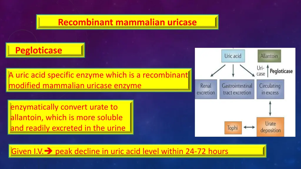 recombinant mammalian uricase