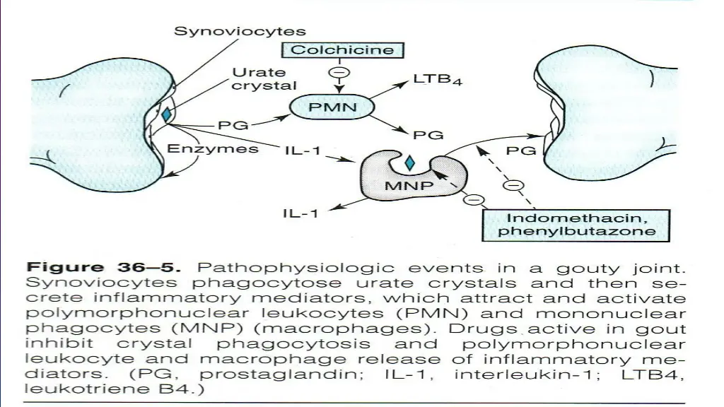 slide6