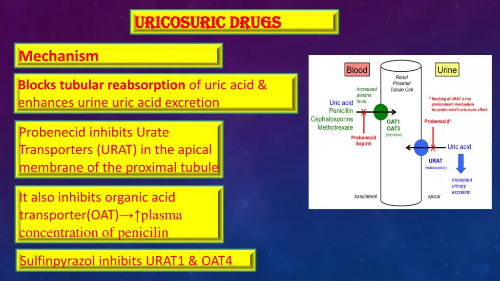 uricosuric uricosuric drugs