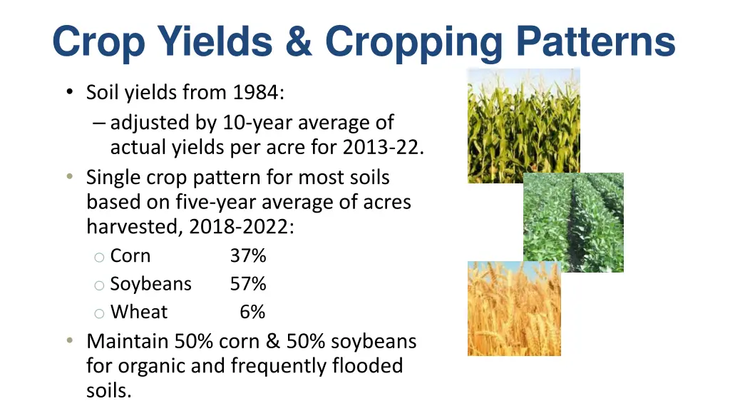 crop yields cropping patterns