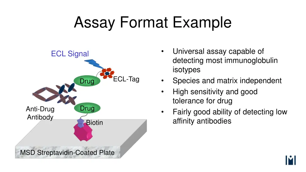 assay format example