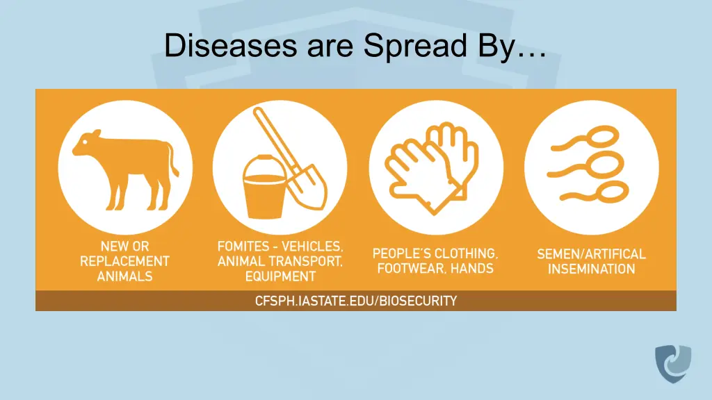 diseases are spread by