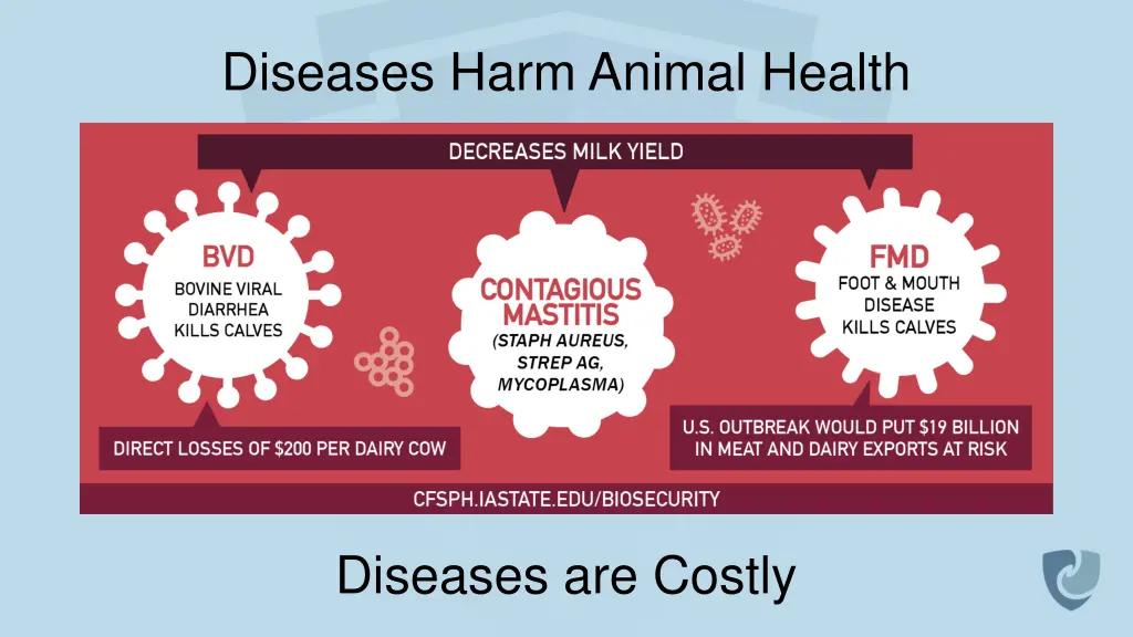 diseases harm animal health