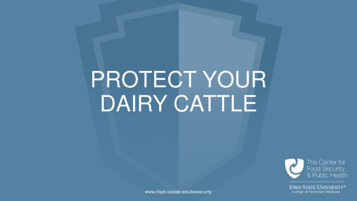 protect your dairy cattle