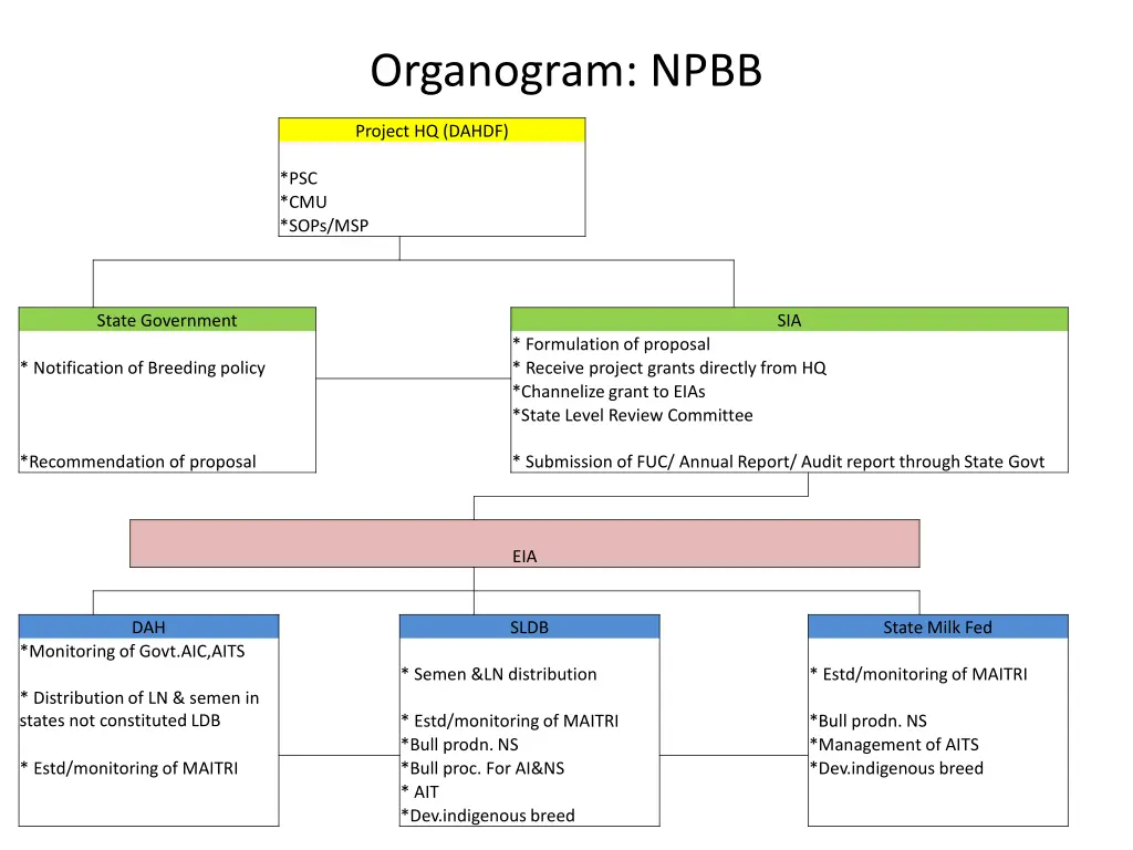 organogram npbb