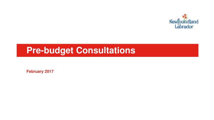 pre budget consultations